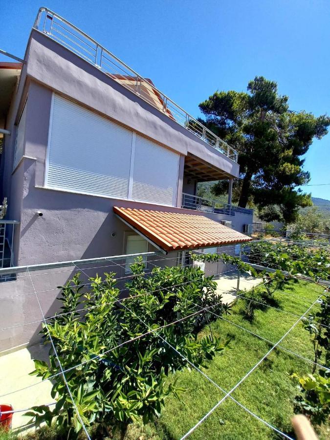 Guesthouse Eirini Porto Germeno Luaran gambar
